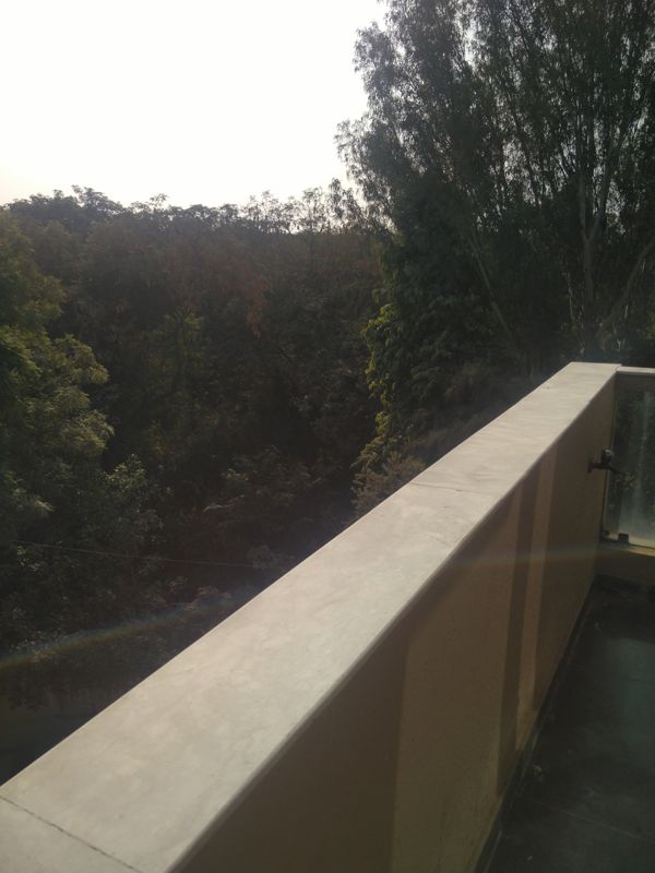 1 BHK for rent in Dlf Phase iv, Gurugram — unfurnished — 60 sq.ft