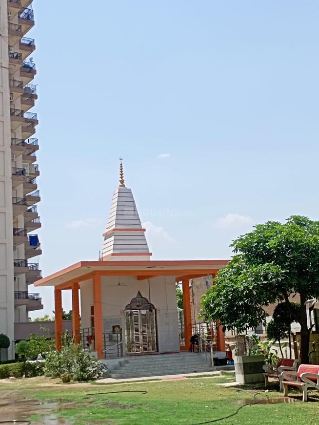 1 BHK for rent in Sector 35, Gurugram — 473 sq.ft — HCBS Sports Ville