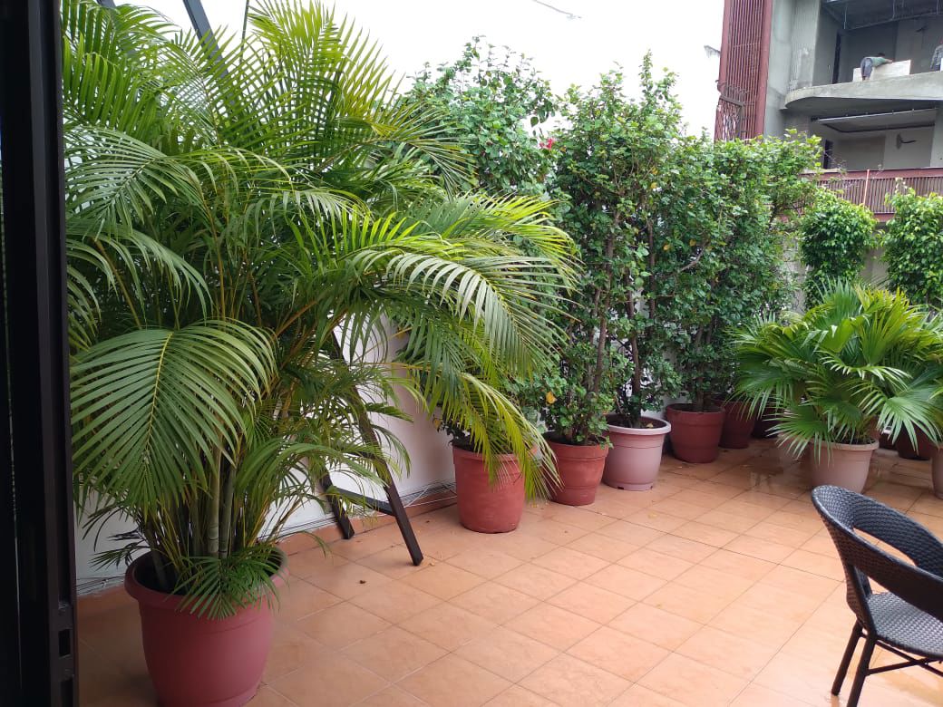 1 BHK for rent in Sector 55, Gurugram — unfurnished — 160 sq.ft