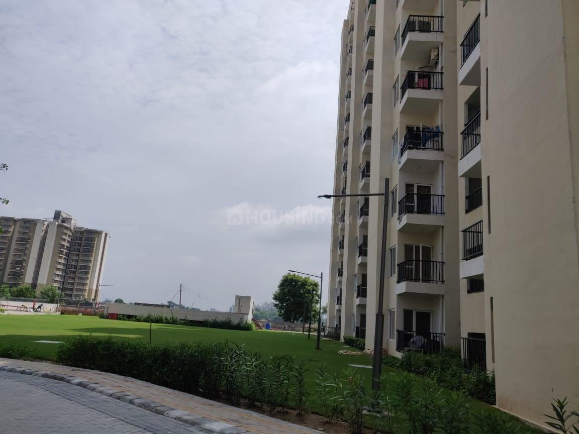 1 BHK for rent in Sector 92, Gurugram — 550 sq.ft — GLS Avenue 51