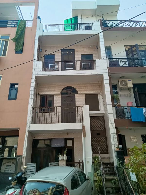 1 BHK for rent in Sector M14, Gurugram — furnished — 150 sq.ft