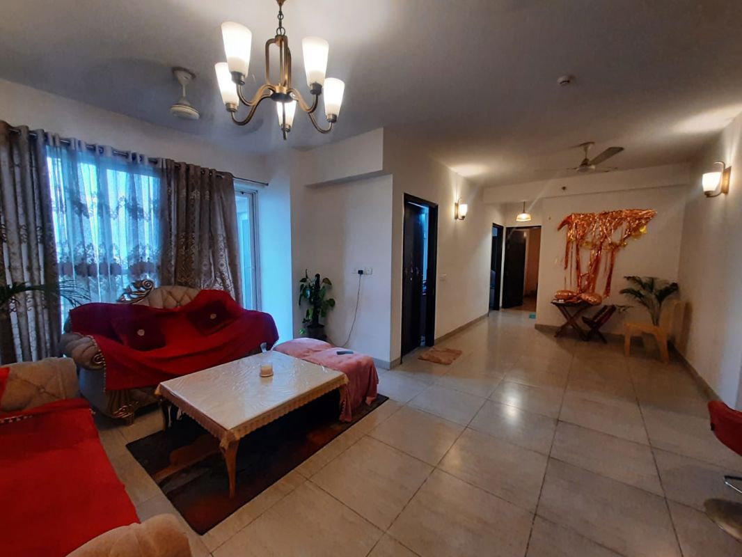 1 BHK for rent in Sushant Lok ii, Gurugram — semi-furnished — 60 sq.ft