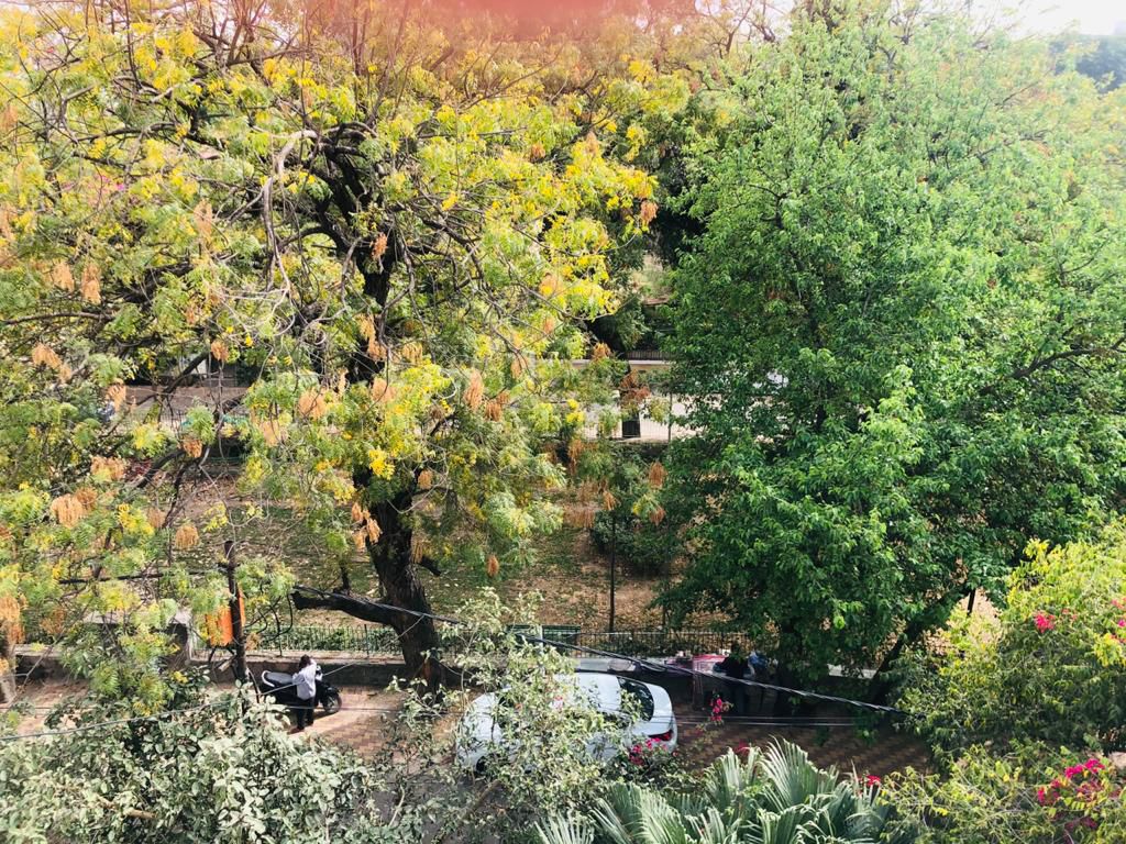 1 BHK for rent in Sushant Lok Iii, Gurugram — furnished — 300 sq.ft