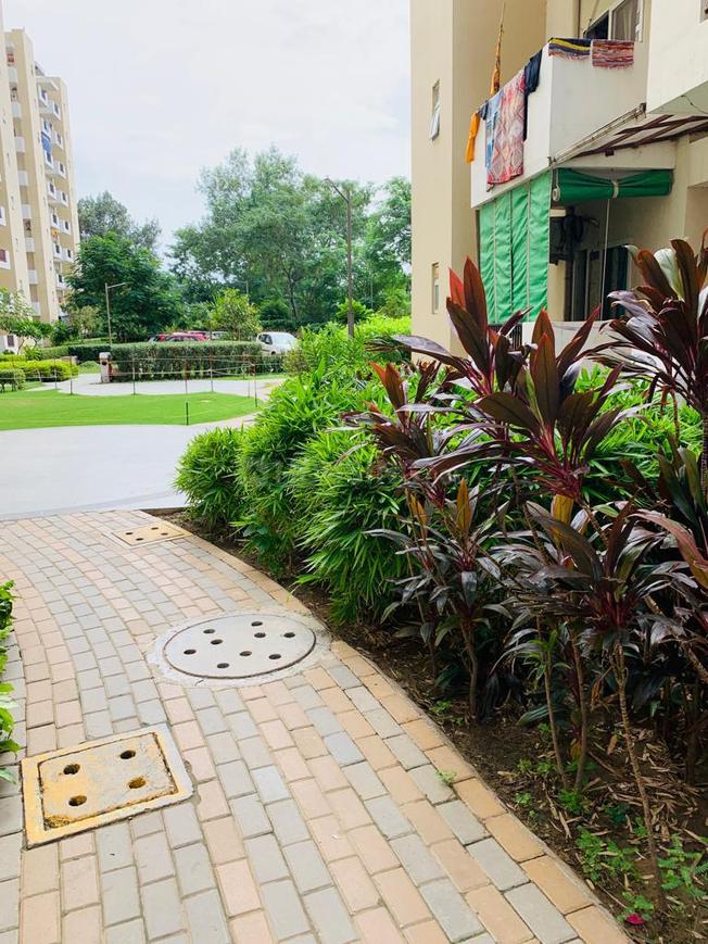 2 BHK for rent in Sector 4, Gurugram — semi-furnished — 580 sq.ft — GLS Arawali Homes