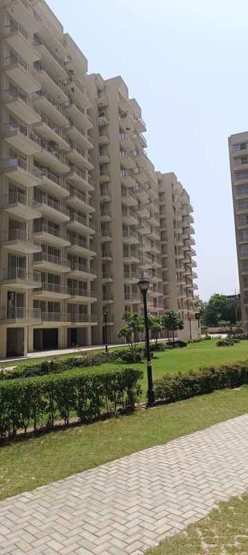 2 BHK for rent in Sector 63, Gurugram — semi-furnished — 1000 sq.ft — Bedarwals Sixty Three Golf Drive