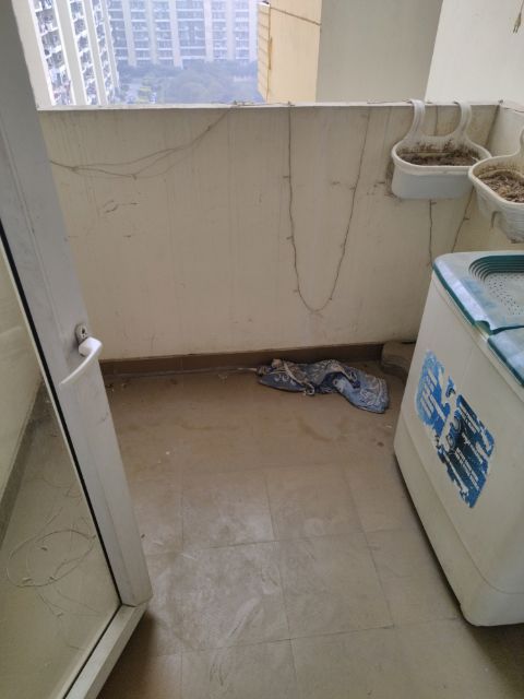 2 BHK for rent in Sector 69, Gurugram — furnished — 515 sq.ft — Tulip Lemon