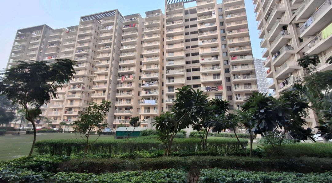 2 BHK for rent in Sector 90, Gurugram — semi-furnished — 700 sq.ft — Shree Vardhman Green Court