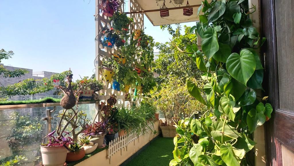 2 BHK for rent in Sushant Lok I, Gurugram — furnished — 800 sq.ft