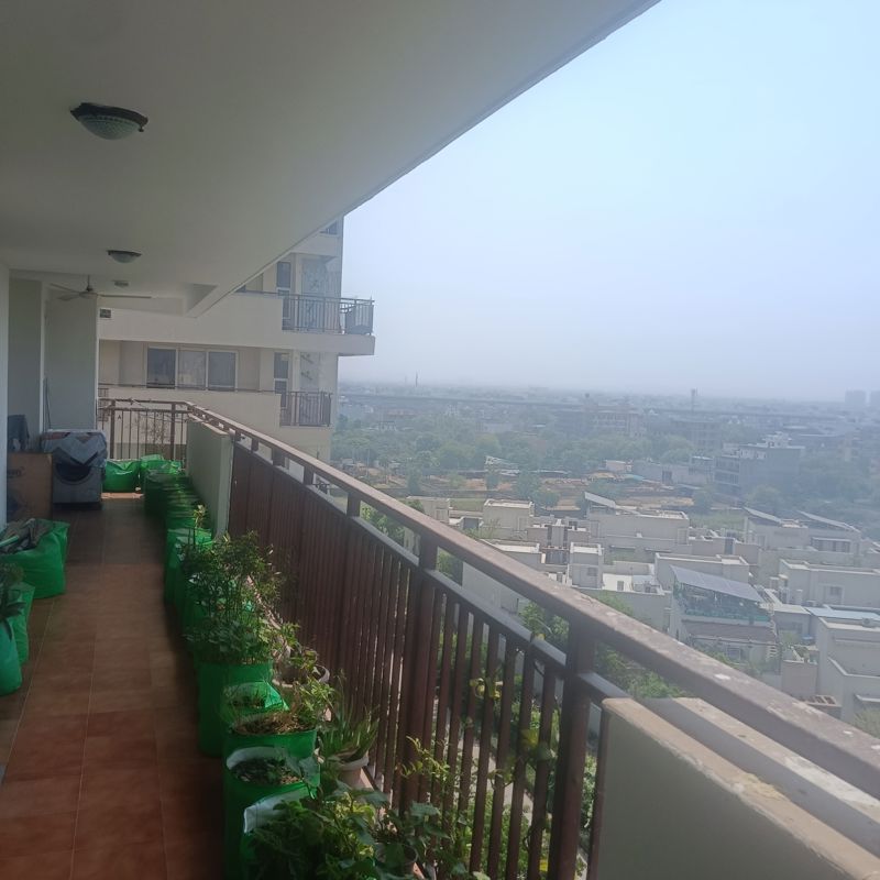 3 BHK for rent in Sector 109, Gurugram — unfurnished — 2177 sq.ft — Brisk Lumbini Terrace Homes