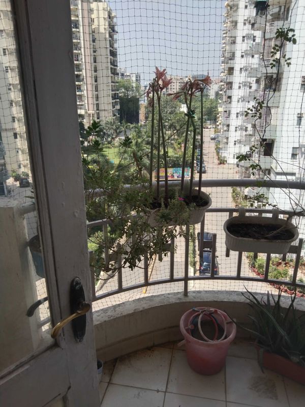 3 BHK for rent in Sector 43, Gurugram — semi-furnished — 1400 sq.ft — Maple Heights