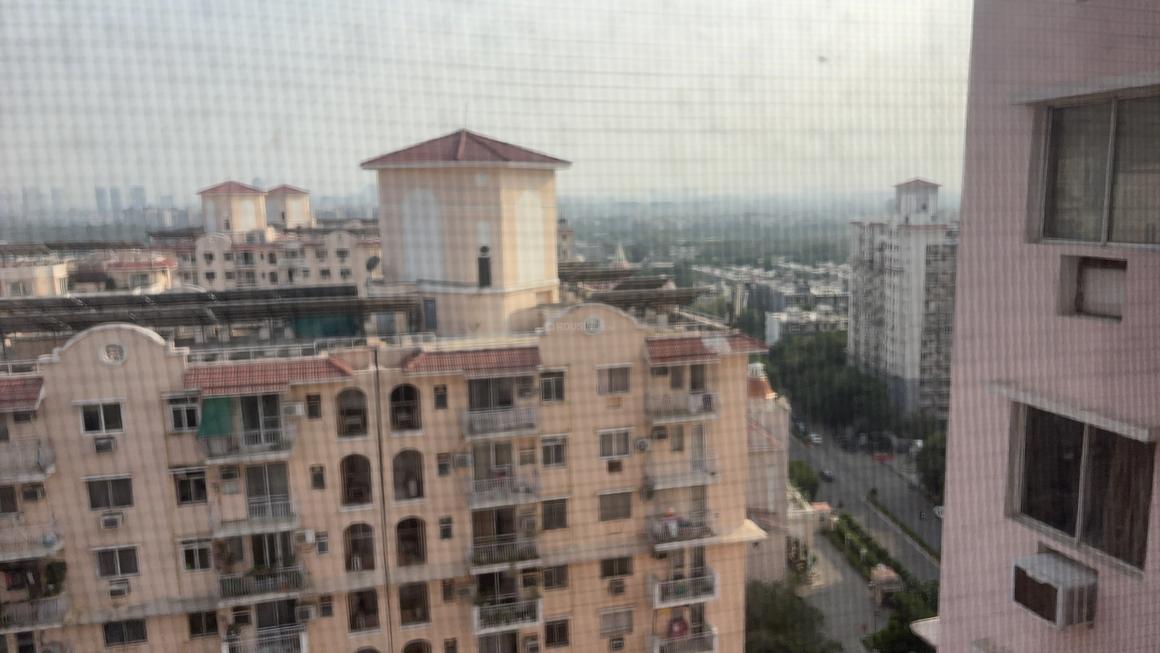 3 BHK for rent in Sector 53, Gurugram — semi-furnished — 1200 sq.ft — DLF Princeton Estate