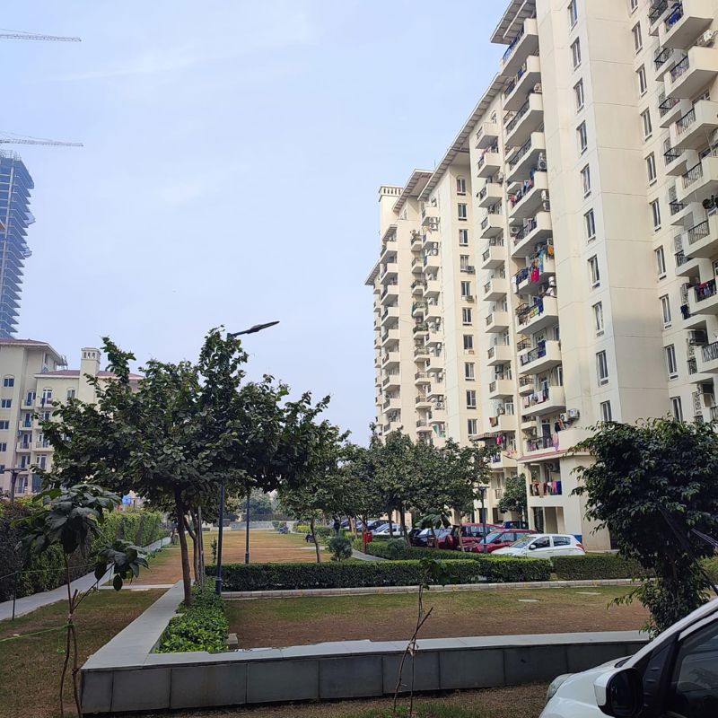3 BHK for rent in Sector 65, Gurugram — semi-furnished — 1250 sq.ft — Emaar Emerald Estate