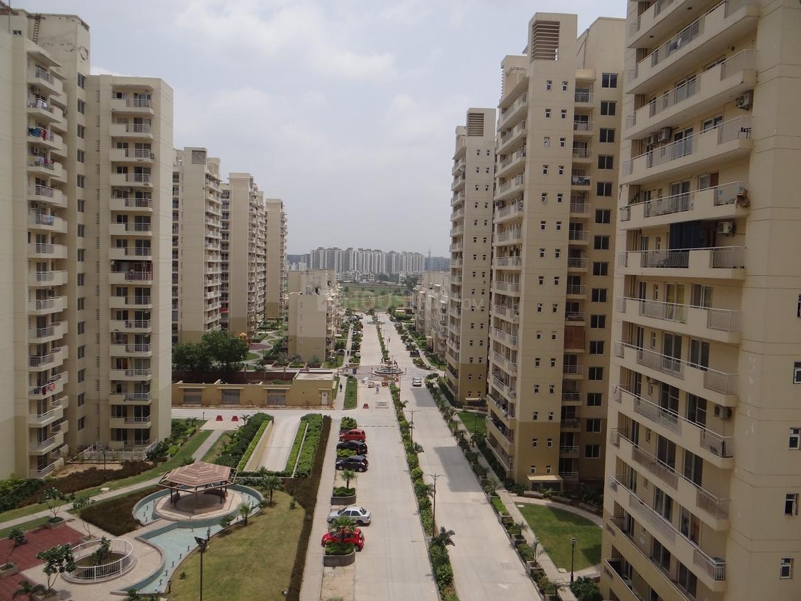 3 BHK for rent in Sector 72, Gurugram — semi-furnished — 1490 sq.ft — CHD Avenue 71