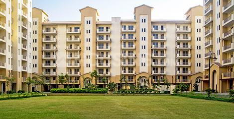 3 BHK for rent in Sector 77, Gurugram — semi-furnished — 1450 sq.ft — Emaar Palm Hills