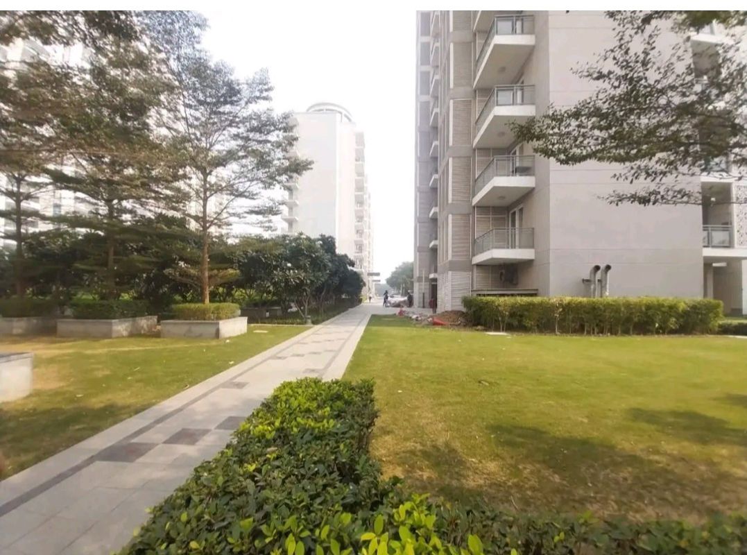 4 BHK for rent in Sector 81, Gurugram — semi-furnished — 2753 sq.ft — DLF The Ultima