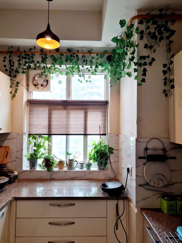5 BHK for rent in Sector 33, Gurugram — semi-furnished — 1850 sq.ft — JMD Gardens