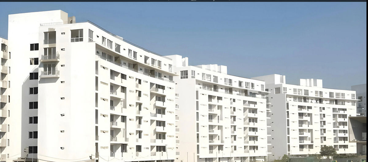 Flat for rent in Sector 49, Gurugram — furnished — 330 sq.ft — Ameya The Sapphire